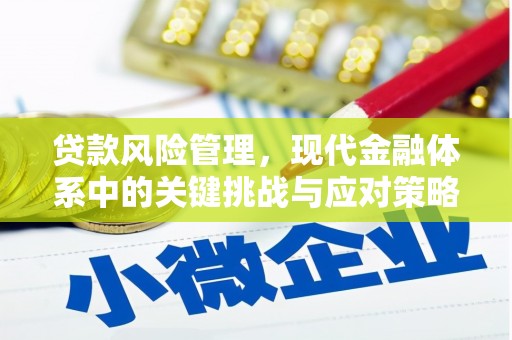 漾濞贷款风险管理，现代金融体系中的关键挑战与应对策略