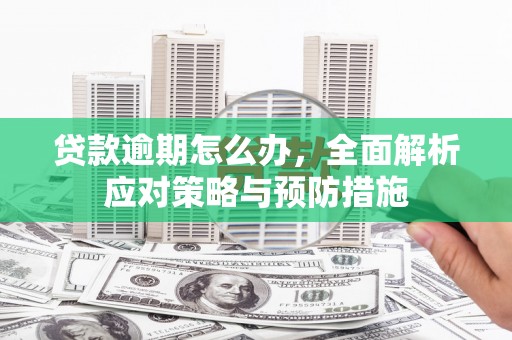 漾濞贷款逾期怎么办，全面解析应对策略与预防措施
