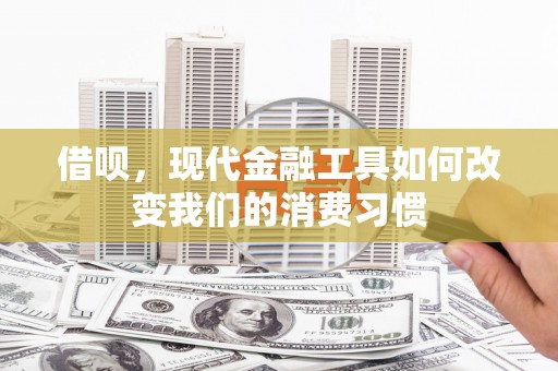 漾濞借呗，现代金融工具如何改变我们的消费习惯