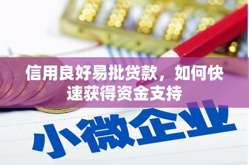 漾濞信用良好易批贷款，如何快速获得资金支持