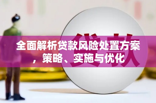 漾濞全面解析贷款风险处置方案，策略、实施与优化