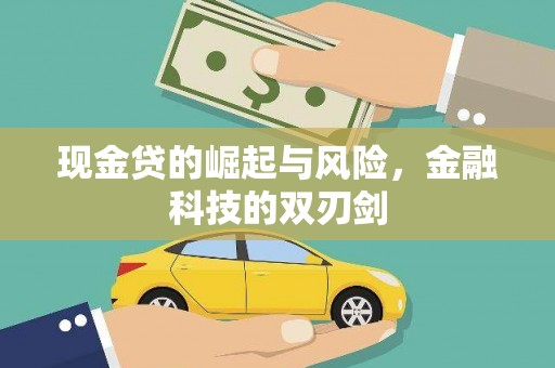 漾濞现金贷的崛起与风险，金融科技的双刃剑