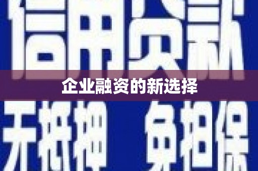 漾濞企业融资的新选择