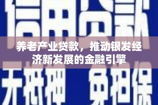漾濞养老产业贷款，推动银发经济新发展的金融引擎