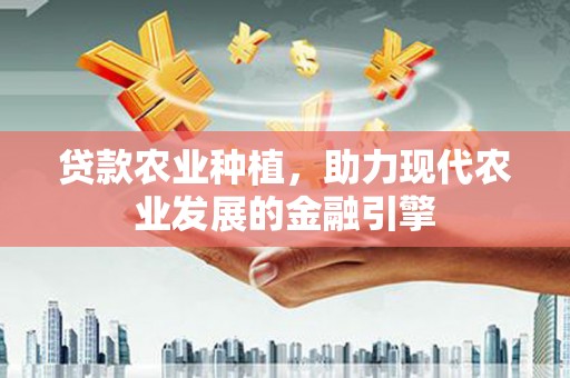 漾濞贷款农业种植，助力现代农业发展的金融引擎