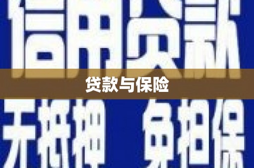 漾濞贷款与保险