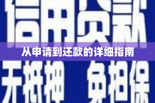 漾濞从申请到还款的详细指南