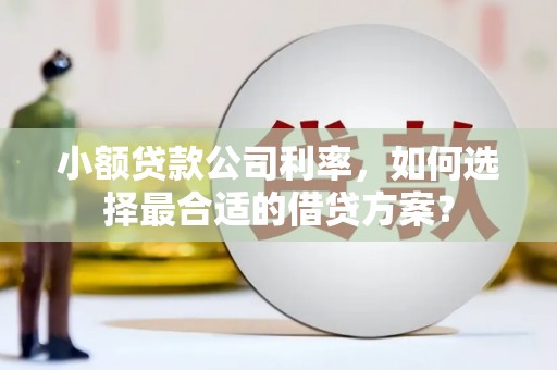 漾濞小额贷款公司利率，如何选择最合适的借贷方案？