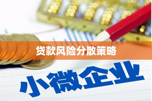 漾濞贷款风险分散策略