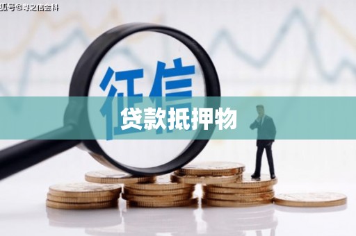 漾濞贷款抵押物