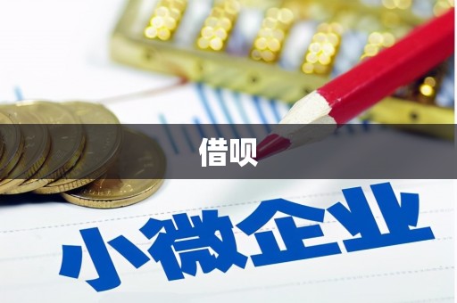 漾濞借呗