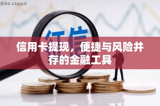 漾濞信用卡提现，便捷与风险并存的金融工具