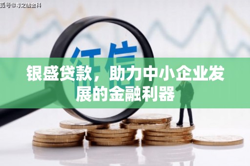 漾濞银盛贷款，助力中小企业发展的金融利器