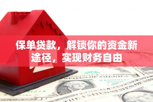 漾濞保单贷款，解锁你的资金新途径，实现财务自由