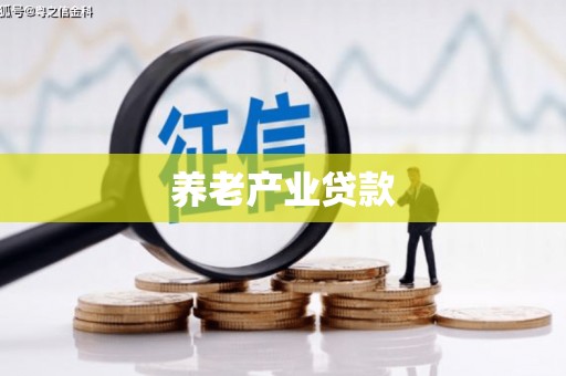 漾濞养老产业贷款