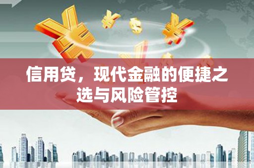 漾濞信用贷，现代金融的便捷之选与风险管控