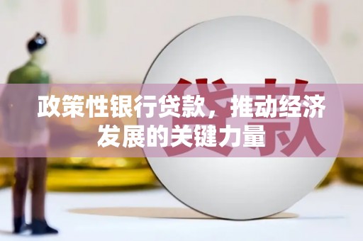 漾濞政策性银行贷款，推动经济发展的关键力量