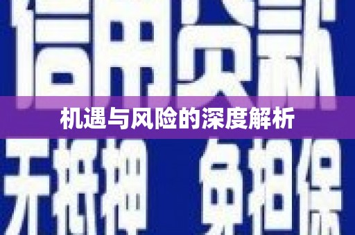 漾濞机遇与风险的深度解析