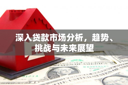 漾濞深入贷款市场分析，趋势、挑战与未来展望