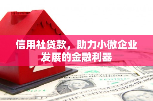 漾濞信用社贷款，助力小微企业发展的金融利器