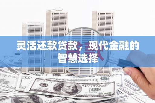 漾濞灵活还款贷款，现代金融的智慧选择
