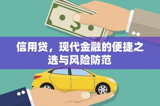 漾濞信用贷，现代金融的便捷之选与风险防范