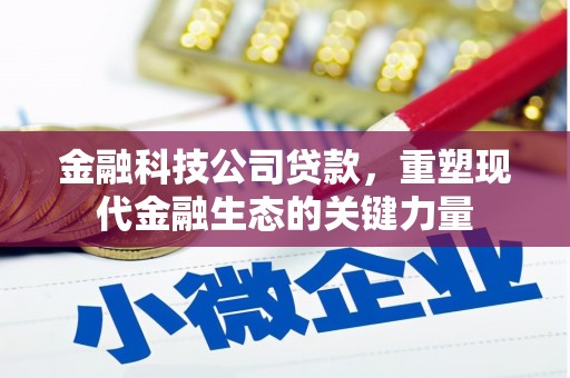 漾濞金融科技公司贷款，重塑现代金融生态的关键力量