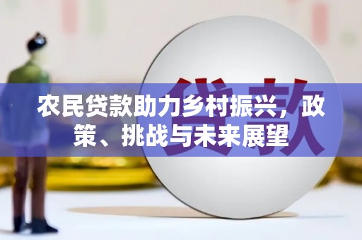 漾濞农民贷款助力乡村振兴，政策、挑战与未来展望