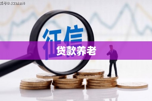 漾濞贷款养老