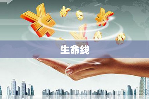 漾濞生命线