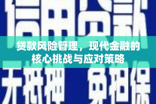漾濞贷款风险管理，现代金融的核心挑战与应对策略
