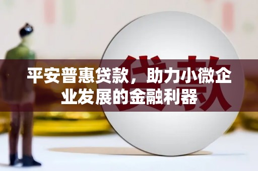 漾濞平安普惠贷款，助力小微企业发展的金融利器