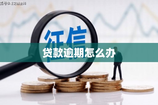 漾濞贷款逾期怎么办