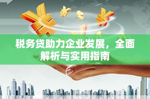 漾濞税务贷助力企业发展，全面解析与实用指南