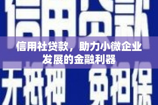 漾濞信用社贷款，助力小微企业发展的金融利器