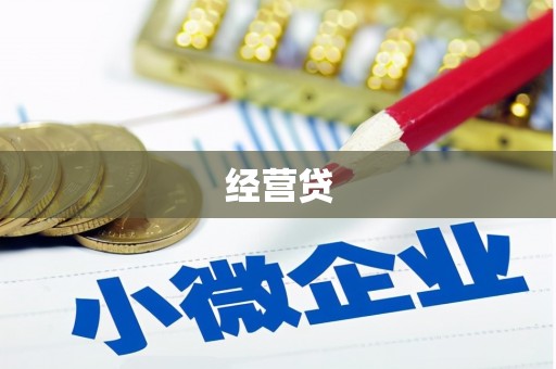 漾濞经营贷