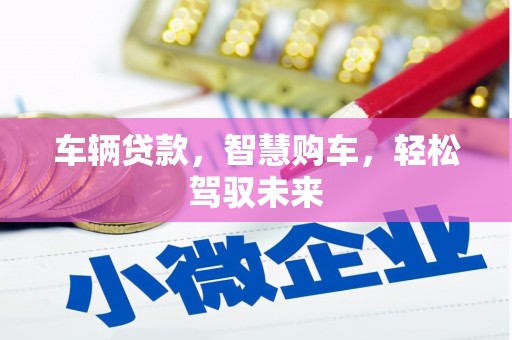 漾濞车辆贷款，智慧购车，轻松驾驭未来