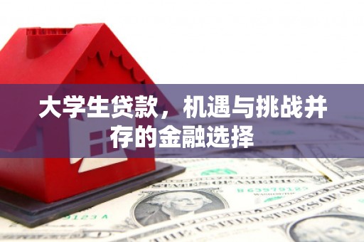 漾濞大学生贷款，机遇与挑战并存的金融选择