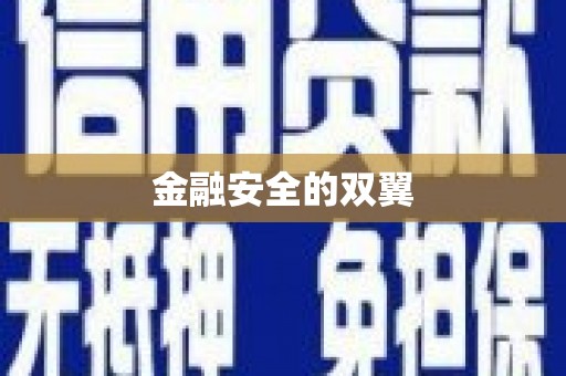 漾濞金融安全的双翼