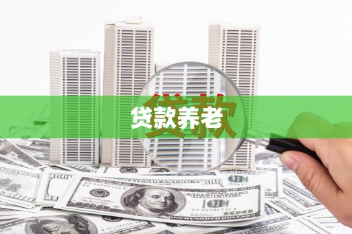 漾濞贷款养老