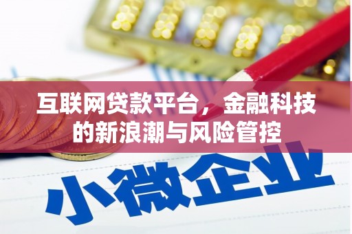 漾濞互联网贷款平台，金融科技的新浪潮与风险管控