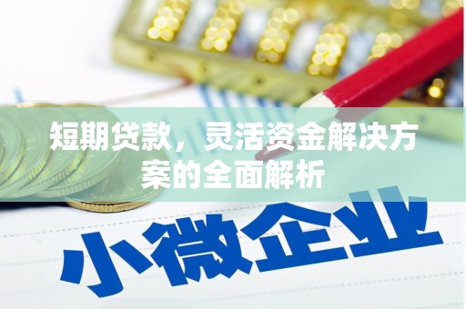 漾濞短期贷款，灵活资金解决方案的全面解析