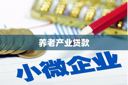漾濞养老产业贷款