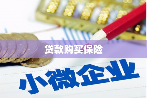 漾濞贷款购买保险