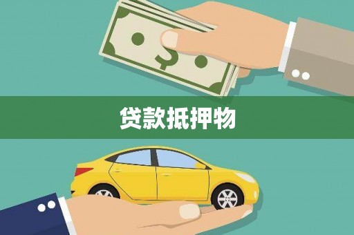 漾濞贷款抵押物