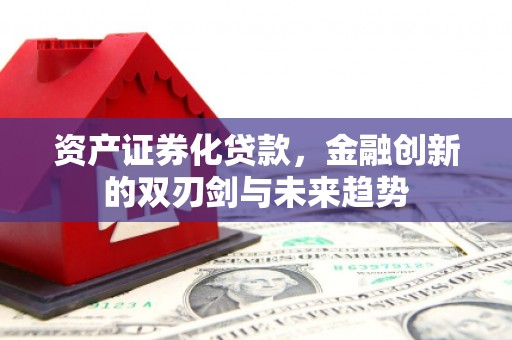 漾濞资产证券化贷款，金融创新的双刃剑与未来趋势