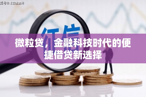 漾濞微粒贷，金融科技时代的便捷借贷新选择