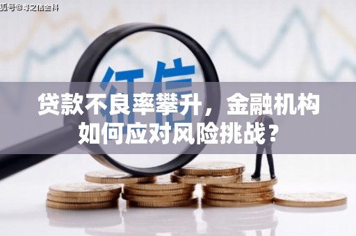 漾濞贷款不良率攀升，金融机构如何应对风险挑战？