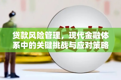 漾濞贷款风险管理，现代金融体系中的关键挑战与应对策略