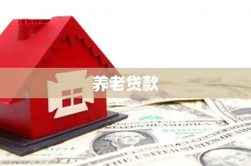漾濞养老贷款